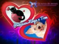 /album/nomes-dos-animais-dos-nossos-seguidores/pizap-com14387014680191-jpg/