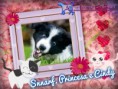 /album/nomes-dos-animais-dos-nossos-seguidores/pizap-com14387022806016-jpg/