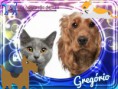 /album/nomes-dos-animais-dos-nossos-seguidores/pizap-com14387026326078-jpg/