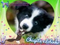 /album/nomes-dos-animais-dos-nossos-seguidores/pizap-com14387027546209-jpg/