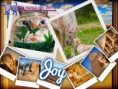 /album/nomes-dos-animais-dos-nossos-seguidores/pizap-com143870388601815-jpg/