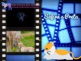 /album/nomes-dos-animais-dos-nossos-seguidores/pizap-com143870411850017-jpg/