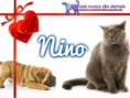 /album/nomes-dos-animais-dos-nossos-seguidores/pizap-com143870443683119-jpg/